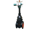 Z941T��Z941W��Z941H �� PN10��PN16 �F��늄�Шʽ�l�y